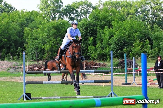 Zdjęcie w galerii na portalu naszraciborz.pl: Potęga skoku, czyli Międzynarodowe Zawody Konne w skokach przez przeszkody wiadomości z regionu