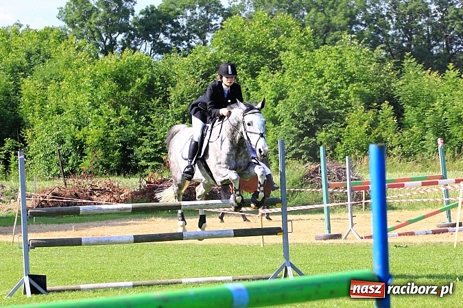 Zdjęcie w galerii na portalu naszraciborz.pl: Potęga skoku, czyli Międzynarodowe Zawody Konne w skokach przez przeszkody wiadomości z regionu