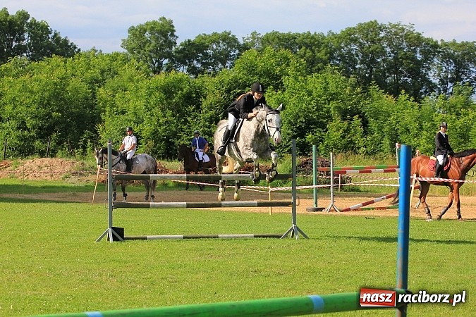 Zdjęcie w galerii na portalu naszraciborz.pl: Potęga skoku, czyli Międzynarodowe Zawody Konne w skokach przez przeszkody wiadomości z regionu