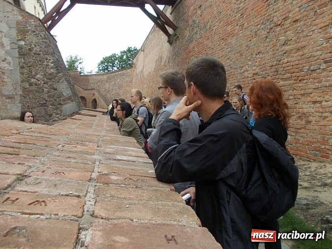 Zdjęcie w galerii na portalu naszraciborz.pl: PWSZ: Raciborscy studenci z czesko-polskim projektem na Morawach wiadomości z regionu
