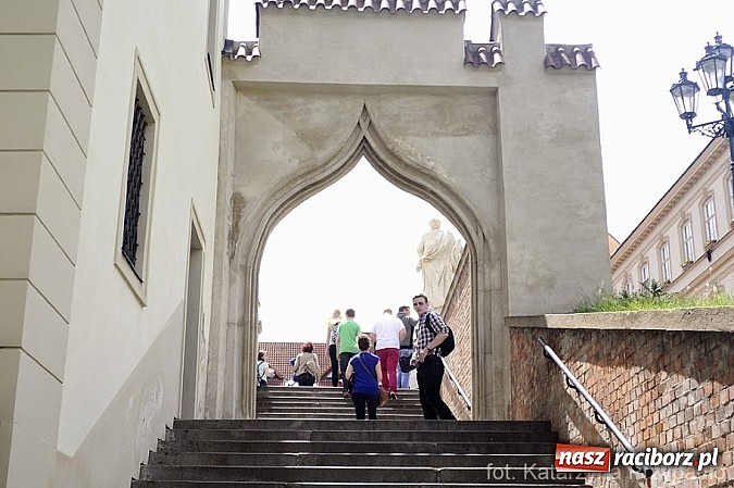 Zdjęcie w galerii na portalu naszraciborz.pl: PWSZ: Raciborscy studenci z czesko-polskim projektem na Morawach wiadomości z regionu