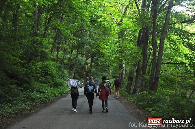 Zdjęcie w galerii na portalu naszraciborz.pl: PWSZ: Raciborscy studenci z czesko-polskim projektem na Morawach wiadomości z regionu