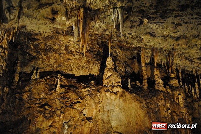 Zdjęcie w galerii na portalu naszraciborz.pl: PWSZ: Raciborscy studenci z czesko-polskim projektem na Morawach wiadomości z regionu