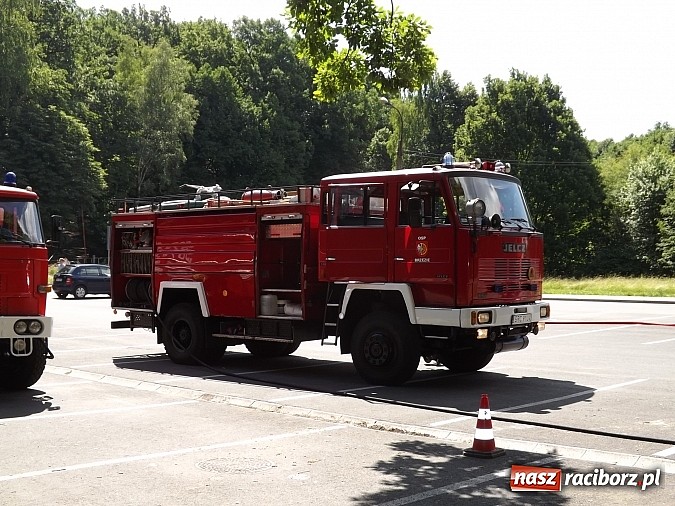 Zdjęcie w galerii na portalu naszraciborz.pl: Pożar lasu Obora, poszkodowany strażak. Na szczęście to tylko ćwiczenia wiadomości z regionu