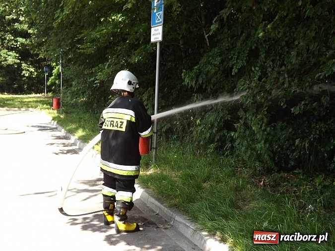 Zdjęcie w galerii na portalu naszraciborz.pl: Pożar lasu Obora, poszkodowany strażak. Na szczęście to tylko ćwiczenia wiadomości z regionu