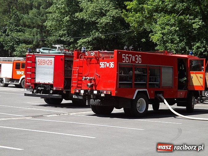 Zdjęcie w galerii na portalu naszraciborz.pl: Pożar lasu Obora, poszkodowany strażak. Na szczęście to tylko ćwiczenia wiadomości z regionu