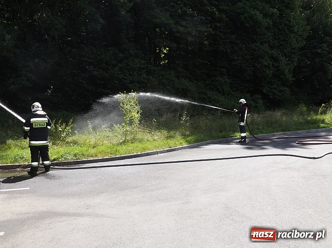 Zdjęcie w galerii na portalu naszraciborz.pl: Pożar lasu Obora, poszkodowany strażak. Na szczęście to tylko ćwiczenia wiadomości z regionu