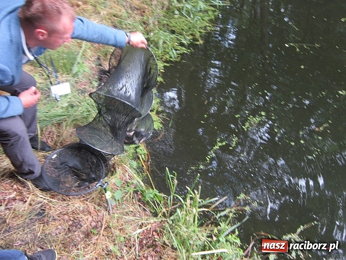 Zdjęcie w galerii na portalu naszraciborz.pl: Najlepsi okazali się wędkarze z rudzkiego MOW-u wiadomości z regionu