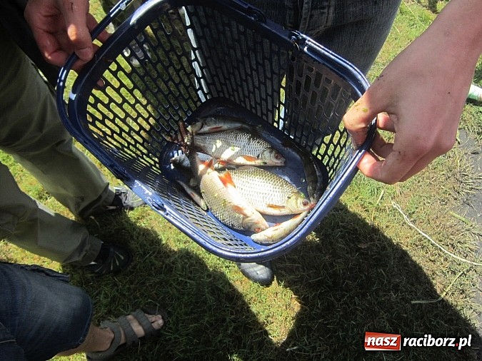 Zdjęcie w galerii na portalu naszraciborz.pl: Najlepsi okazali się wędkarze z rudzkiego MOW-u wiadomości z regionu