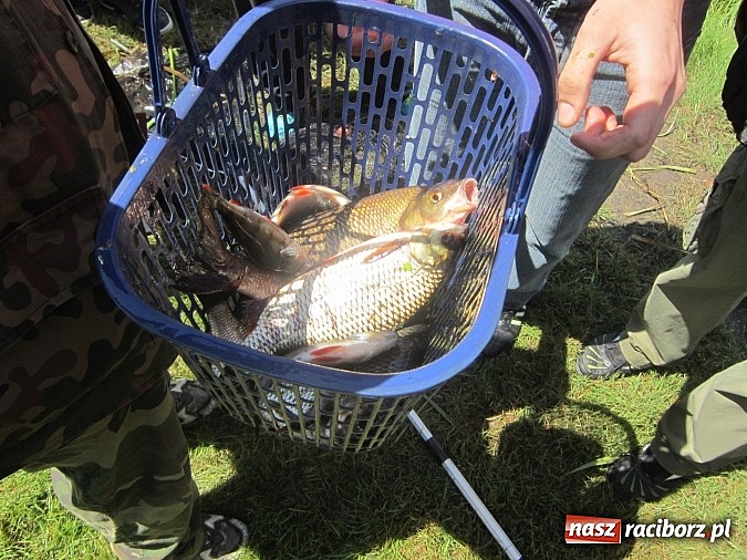 Zdjęcie w galerii na portalu naszraciborz.pl: Najlepsi okazali się wędkarze z rudzkiego MOW-u wiadomości z regionu
