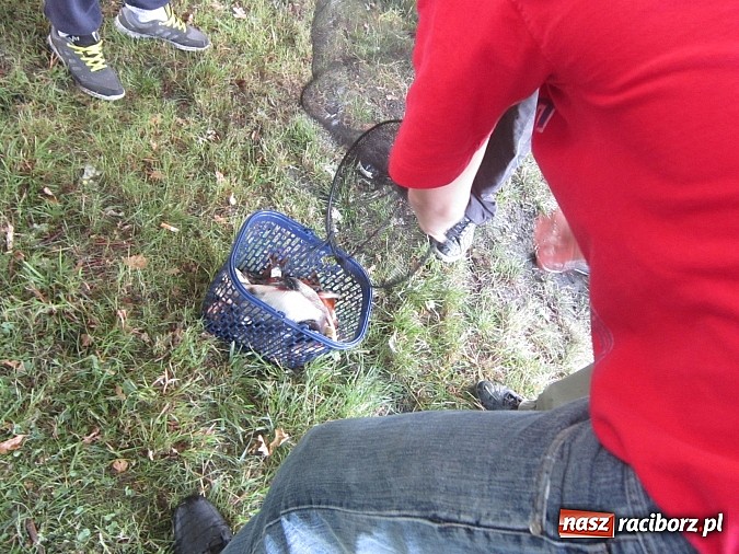 Zdjęcie w galerii na portalu naszraciborz.pl: Najlepsi okazali się wędkarze z rudzkiego MOW-u wiadomości z regionu