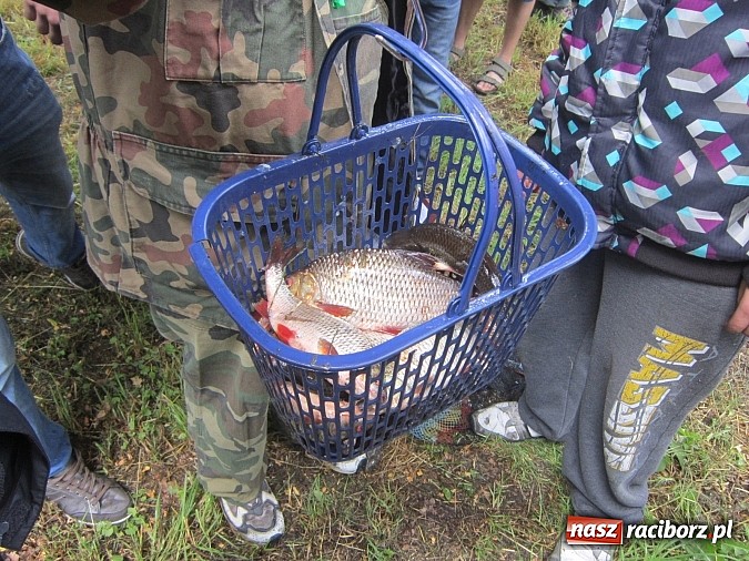Zdjęcie w galerii na portalu naszraciborz.pl: Najlepsi okazali się wędkarze z rudzkiego MOW-u wiadomości z regionu