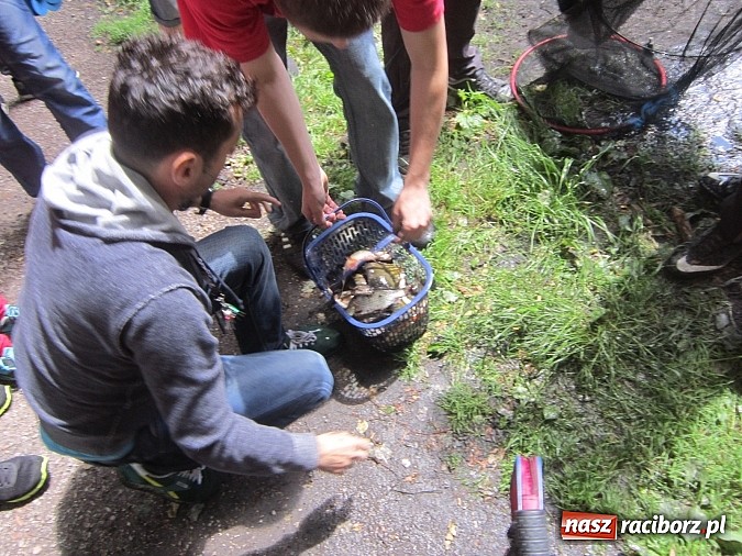 Zdjęcie w galerii na portalu naszraciborz.pl: Najlepsi okazali się wędkarze z rudzkiego MOW-u wiadomości z regionu