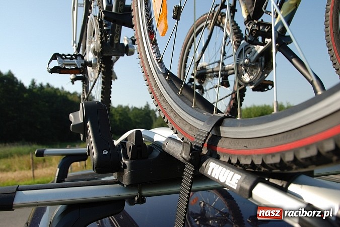 Zdjęcie w galerii na portalu naszraciborz.pl: Jak i czym transportować rowery na wakacje? wiadomości z regionu