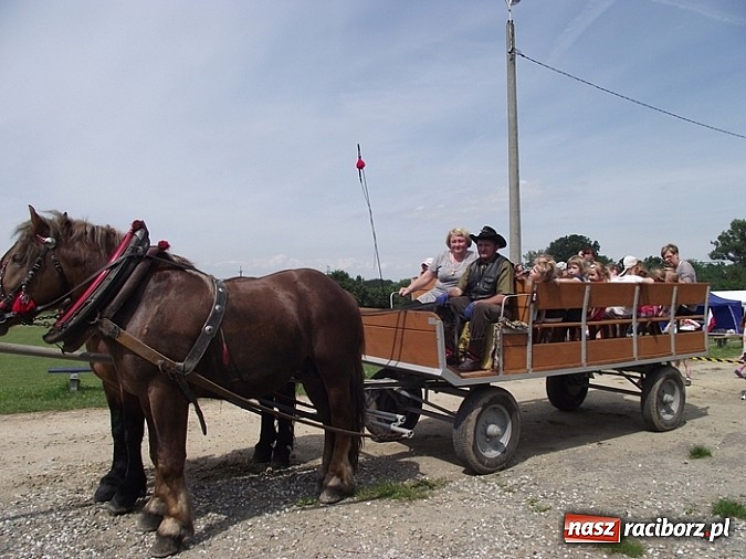 Zdjęcie w galerii na portalu naszraciborz.pl: Brzeskie przedszkolaki na eko-pikniku wiadomości z regionu