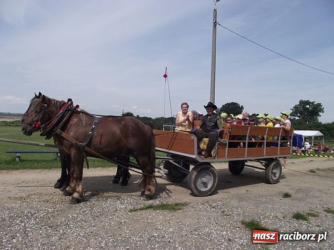 Zdjęcie w galerii na portalu naszraciborz.pl: Brzeskie przedszkolaki na eko-pikniku wiadomości z regionu