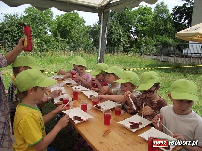 Zdjęcie w galerii na portalu naszraciborz.pl: Brzeskie przedszkolaki na eko-pikniku wiadomości z regionu