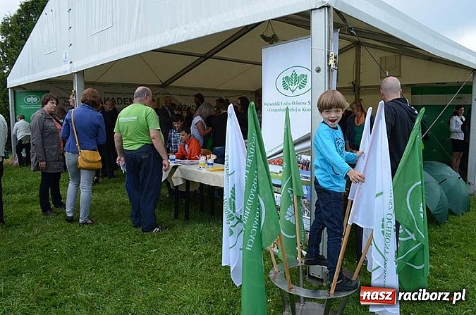 Zdjęcie w galerii na portalu naszraciborz.pl: Eko-aktywność się opłaca!  wiadomości z regionu