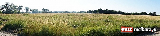 Zdjęcie w galerii na portalu naszraciborz.pl: Strefa przemysłowa w Nędzy czeka na inwestorów wiadomości z regionu