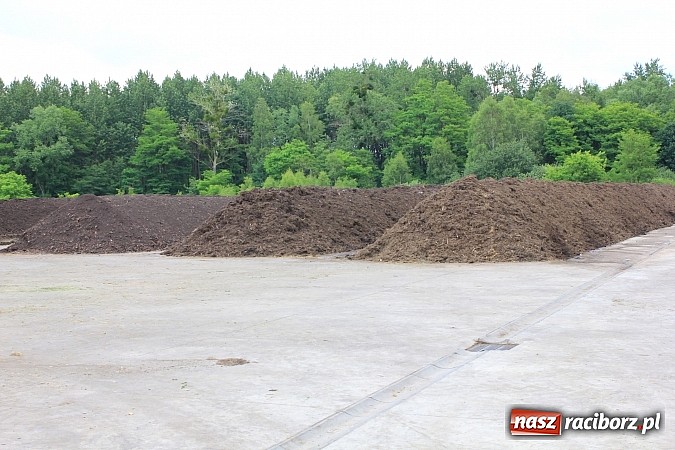 Zdjęcie w galerii na portalu naszraciborz.pl: Wesele na składowisku odpad&oacute;w? Czemu nie! wiadomości z regionu