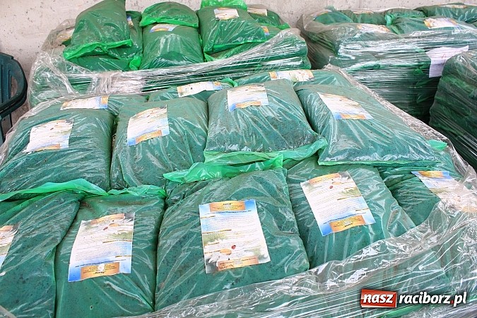 Zdjęcie w galerii na portalu naszraciborz.pl: Wesele na składowisku odpad&oacute;w? Czemu nie! wiadomości z regionu