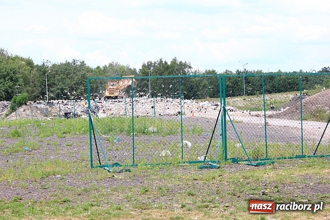 Zdjęcie w galerii na portalu naszraciborz.pl: Wesele na składowisku odpad&oacute;w? Czemu nie! wiadomości z regionu