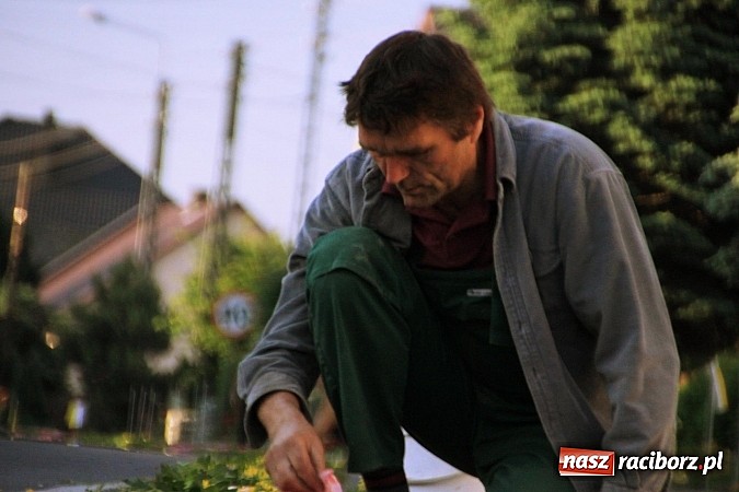 Zdjęcie w galerii na portalu naszraciborz.pl: W Wojnowicach powstały piękne dywany z kwiat&oacute;w wiadomości z regionu