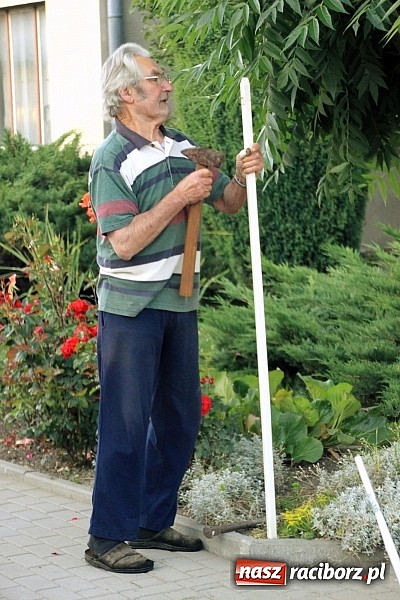 Zdjęcie w galerii na portalu naszraciborz.pl: W Wojnowicach powstały piękne dywany z kwiat&oacute;w wiadomości z regionu