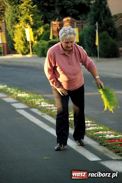 Zdjęcie w galerii na portalu naszraciborz.pl: W Wojnowicach powstały piękne dywany z kwiat&oacute;w wiadomości z regionu