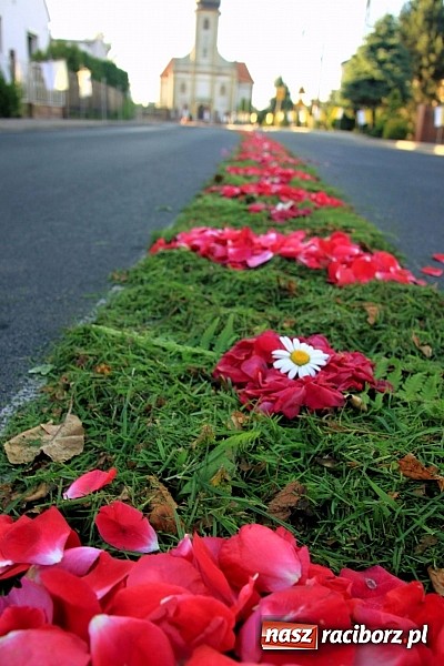 Zdjęcie w galerii na portalu naszraciborz.pl: W Wojnowicach powstały piękne dywany z kwiat&oacute;w wiadomości z regionu