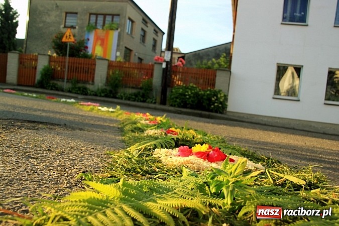 Zdjęcie w galerii na portalu naszraciborz.pl: W Wojnowicach powstały piękne dywany z kwiat&oacute;w wiadomości z regionu