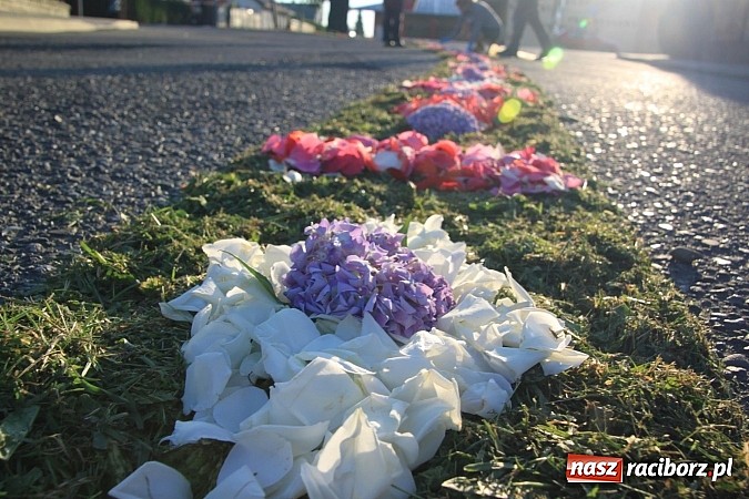 Zdjęcie w galerii na portalu naszraciborz.pl: W Wojnowicach powstały piękne dywany z kwiat&oacute;w wiadomości z regionu