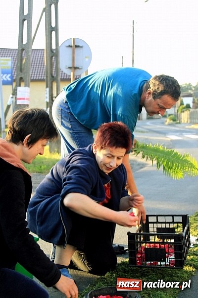 Zdjęcie w galerii na portalu naszraciborz.pl: W Wojnowicach powstały piękne dywany z kwiat&oacute;w wiadomości z regionu