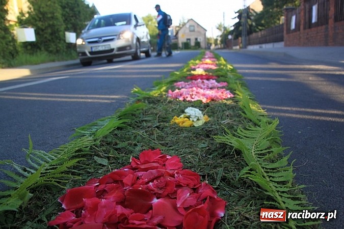 Zdjęcie w galerii na portalu naszraciborz.pl: W Wojnowicach powstały piękne dywany z kwiat&oacute;w wiadomości z regionu