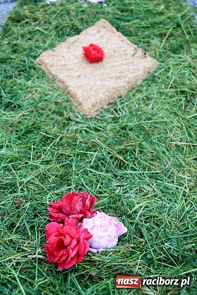 Zdjęcie w galerii na portalu naszraciborz.pl: W Wojnowicach powstały piękne dywany z kwiat&oacute;w wiadomości z regionu