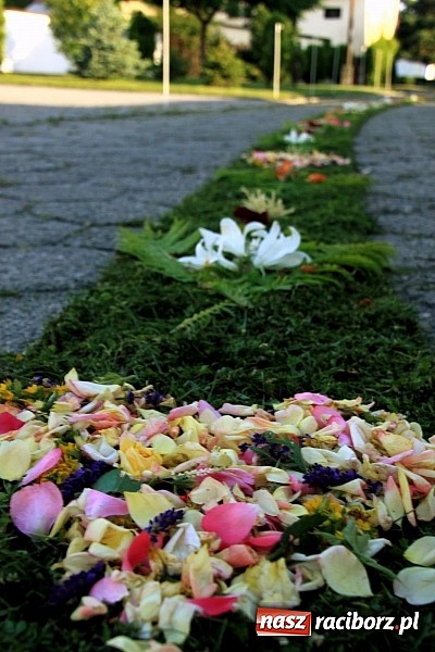 Zdjęcie w galerii na portalu naszraciborz.pl: W Wojnowicach powstały piękne dywany z kwiat&oacute;w wiadomości z regionu