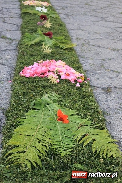Zdjęcie w galerii na portalu naszraciborz.pl: W Wojnowicach powstały piękne dywany z kwiat&oacute;w wiadomości z regionu
