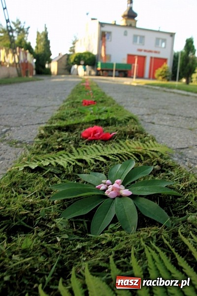 Zdjęcie w galerii na portalu naszraciborz.pl: W Wojnowicach powstały piękne dywany z kwiat&oacute;w wiadomości z regionu