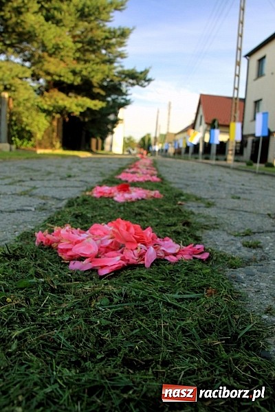 Zdjęcie w galerii na portalu naszraciborz.pl: W Wojnowicach powstały piękne dywany z kwiat&oacute;w wiadomości z regionu