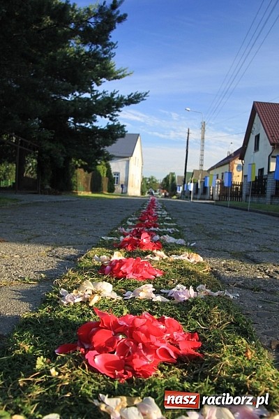 Zdjęcie w galerii na portalu naszraciborz.pl: W Wojnowicach powstały piękne dywany z kwiat&oacute;w wiadomości z regionu