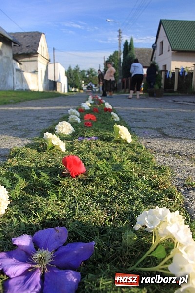 Zdjęcie w galerii na portalu naszraciborz.pl: W Wojnowicach powstały piękne dywany z kwiat&oacute;w wiadomości z regionu