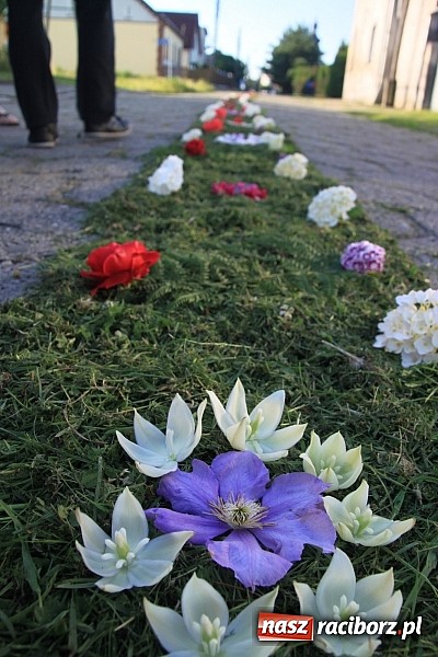 Zdjęcie w galerii na portalu naszraciborz.pl: W Wojnowicach powstały piękne dywany z kwiat&oacute;w wiadomości z regionu