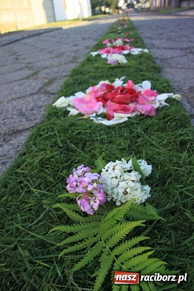 Zdjęcie w galerii na portalu naszraciborz.pl: W Wojnowicach powstały piękne dywany z kwiat&oacute;w wiadomości z regionu