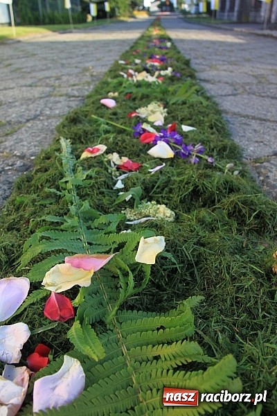 Zdjęcie w galerii na portalu naszraciborz.pl: W Wojnowicach powstały piękne dywany z kwiat&oacute;w wiadomości z regionu