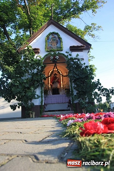 Zdjęcie w galerii na portalu naszraciborz.pl: W Wojnowicach powstały piękne dywany z kwiat&oacute;w wiadomości z regionu