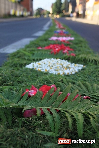 Zdjęcie w galerii na portalu naszraciborz.pl: W Wojnowicach powstały piękne dywany z kwiat&oacute;w wiadomości z regionu