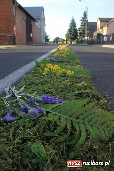 Zdjęcie w galerii na portalu naszraciborz.pl: W Wojnowicach powstały piękne dywany z kwiat&oacute;w wiadomości z regionu