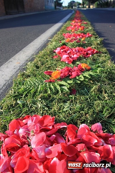 Zdjęcie w galerii na portalu naszraciborz.pl: W Wojnowicach powstały piękne dywany z kwiat&oacute;w wiadomości z regionu