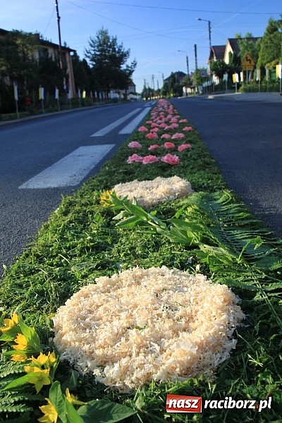 Zdjęcie w galerii na portalu naszraciborz.pl: W Wojnowicach powstały piękne dywany z kwiat&oacute;w wiadomości z regionu