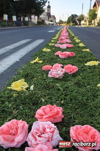 Zdjęcie w galerii na portalu naszraciborz.pl: W Wojnowicach powstały piękne dywany z kwiat&oacute;w wiadomości z regionu